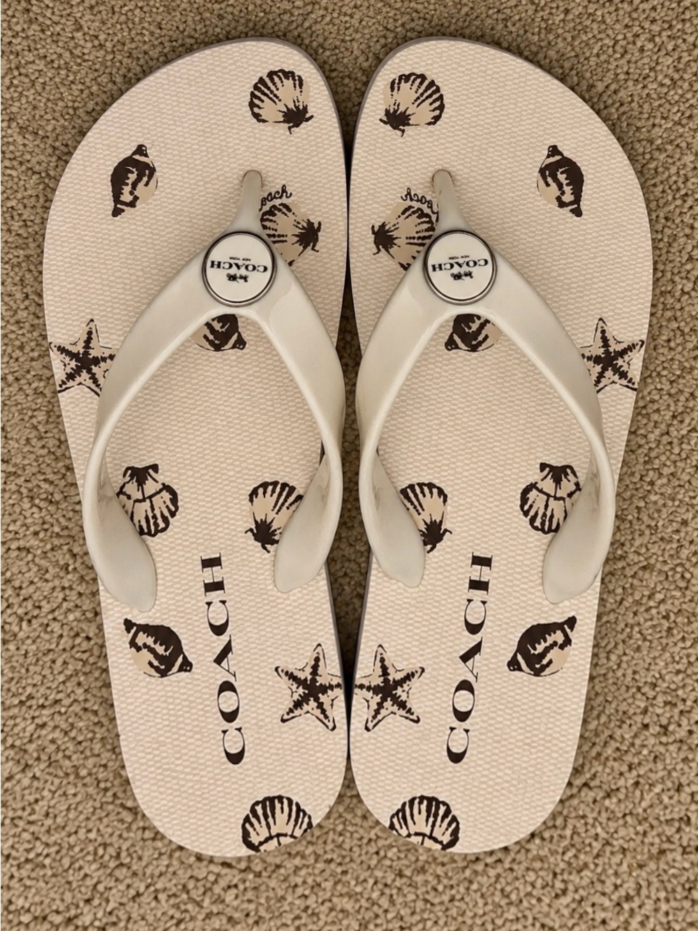 Coach Zayn Flip Flop With Shell Print Women’s US 5